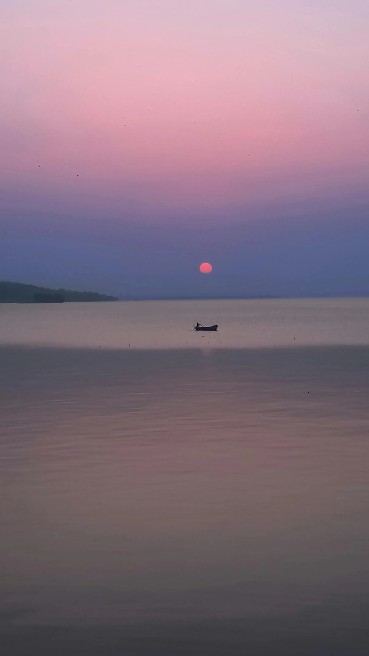 Life in Bhopal